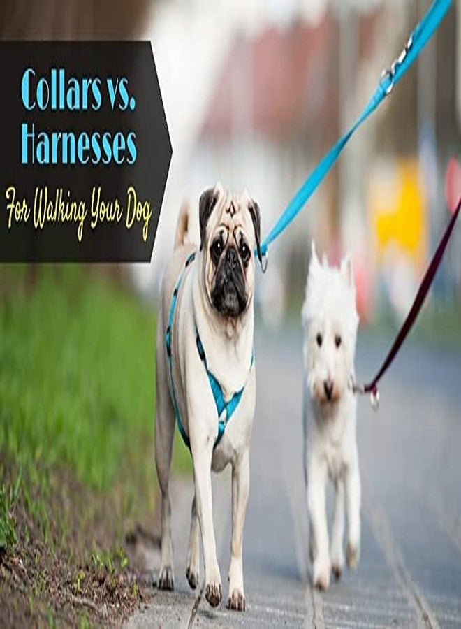 Pups&Pets 15 MM Soft Nylon Adjustable Bone Paw Printed Colourful Puppy Nylon Harness Set with Metal Hook Leash (Red) - Image 5